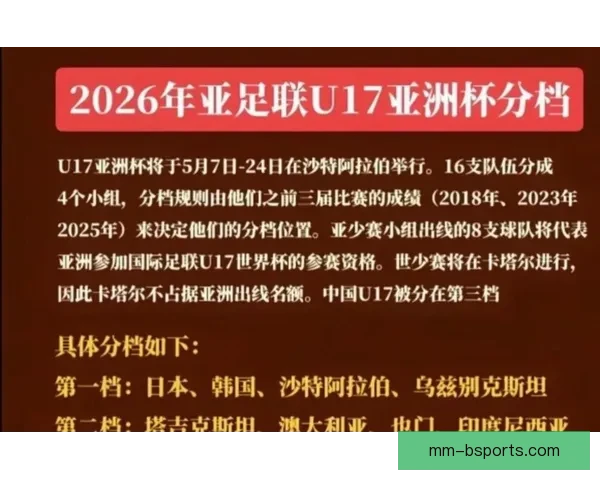 印度退出2027亚洲杯申办 沙特阿拉伯独自获得主办权 印度退出2027亚洲杯申办 沙特阿拉伯独自获得主办权